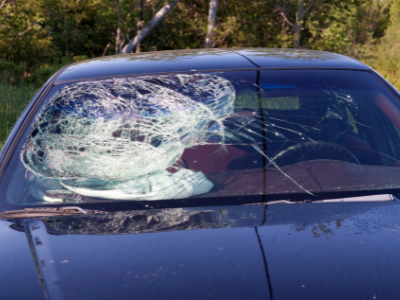 Everything you need to know about car windshield insurance in Ottawa